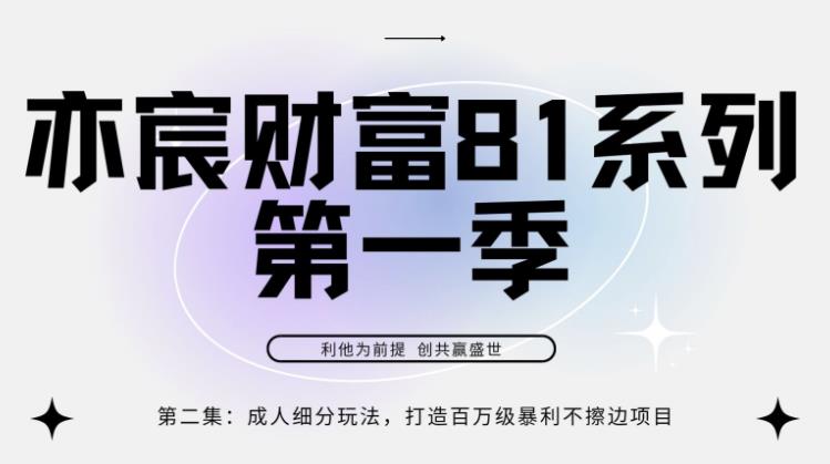 亦宸财富81系列第1季第2集：成人细分玩法，打造百万级暴利不擦边项目-挖财365-我的时光笔记