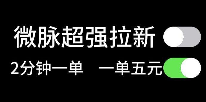 微脉没脑子引流，每一单5元钱，轻轻松松日入三位数-中创网_分享中创网创业资讯_最新网络项目资源-挖财365-我的时光笔记