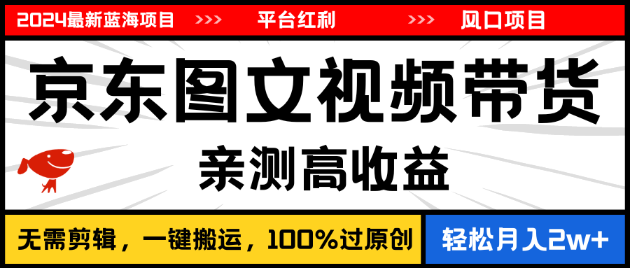 （11147期）2024最新蓝海项目，逛逛京东图文视频带货，无需剪辑，月入20000+-挖财365-我的时光笔记