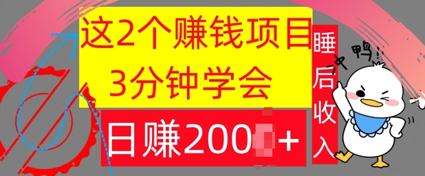 这2个项目，3分钟学会，日赚几张，懒人捡钱