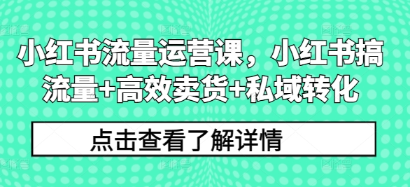 小红书流量运营课，小红书搞流量+高效卖货+私域转化-挖财365-我的时光笔记