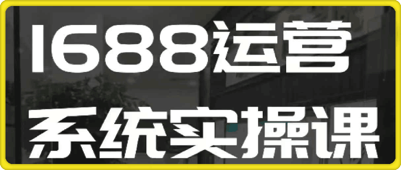 1688高阶运营系统实操课-挖财365网